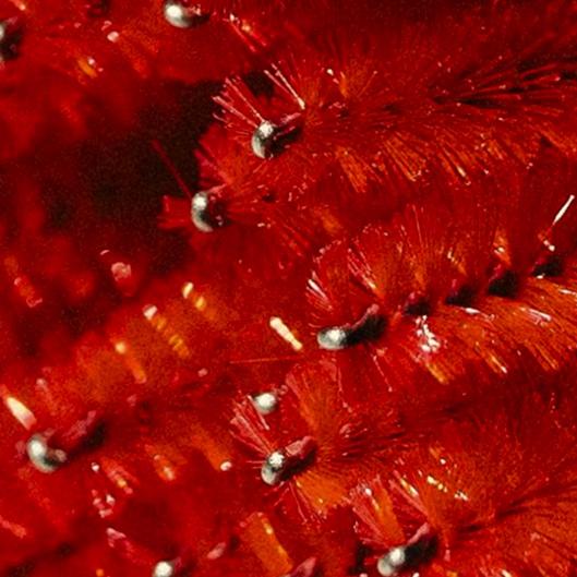 Self Makeup Class Dec 7